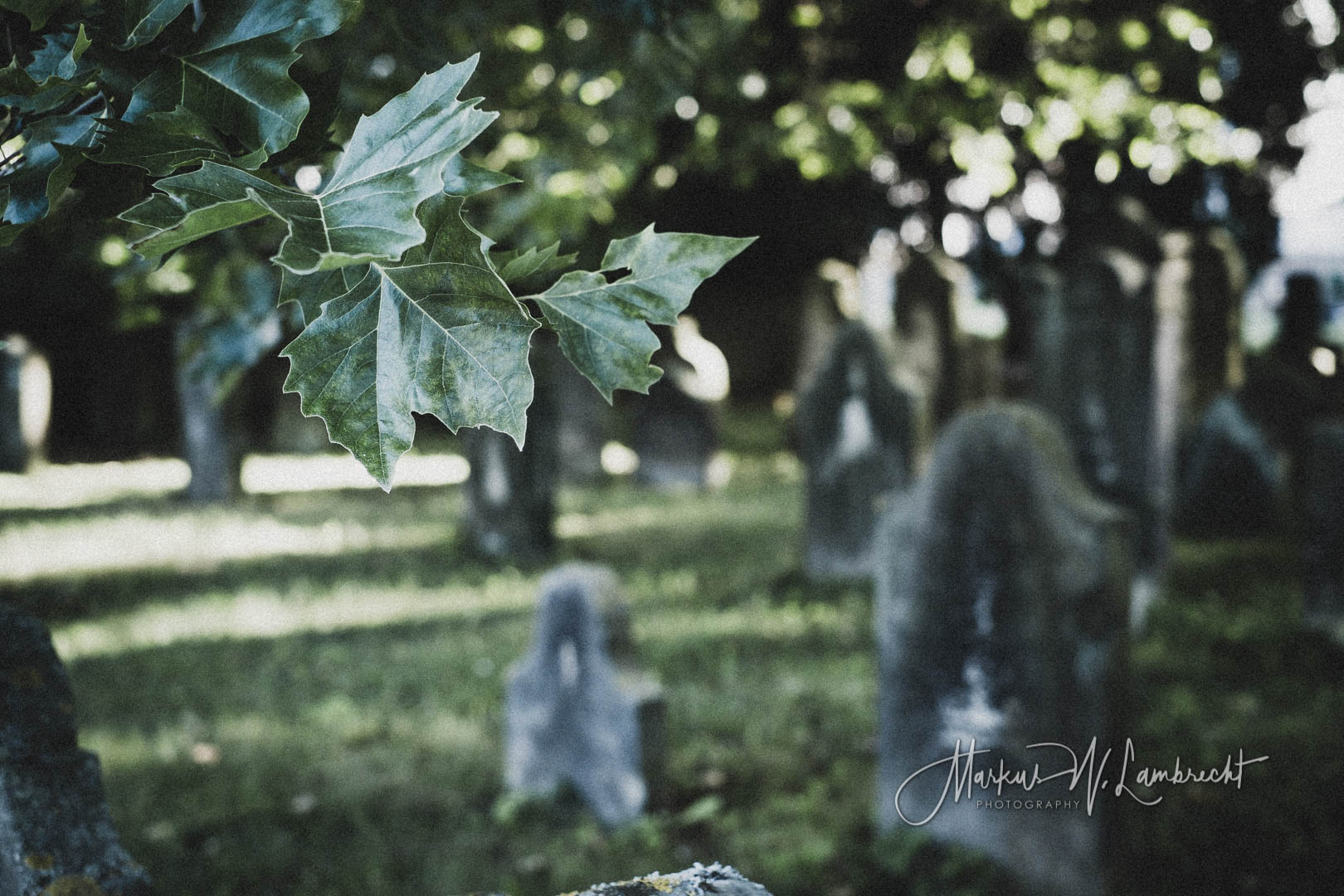 Hameln, Jüdischer Friedhof